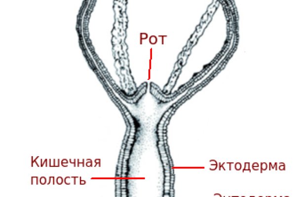 Кракен krk store com